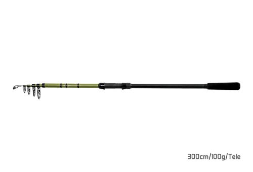 Delphin PARTISAN | 360cm/120g/Tele