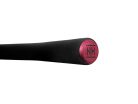 Delphin RIVERA NX | 210cm/150g