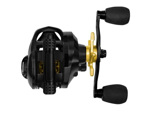 Delphin ZANDERA | 5+1BB