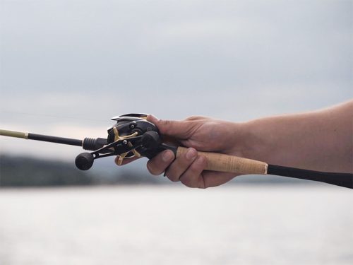 Delphin ZANDERA | 5+1BB