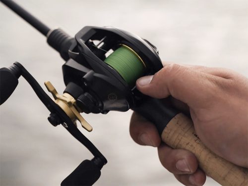 Delphin ZANDERA | 5+1BB