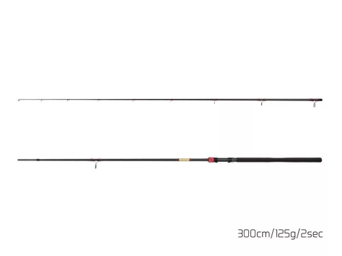 Delphin MURENA POWER | 240cm/125g/2 rész