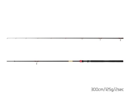 Delphin MURENA POWER | 270cm/125g/2 rész