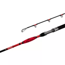 Delphin DANGER CatFISH | 255cm/350g/2rész