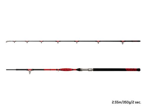 Delphin DANGER CatFISH | 255cm/350g/2rész