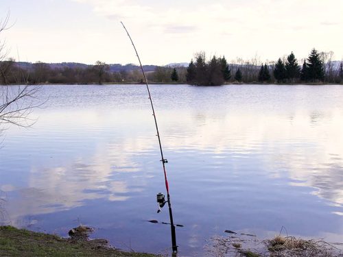 Delphin DANGER CatFISH | 285cm/350g/2rész