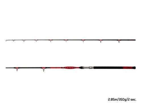 Delphin DANGER CatFISH | 310cm/350g/2rész