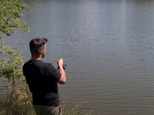 Delphin graphiX 24T | 185cm/0.5-5g/2 rész