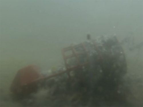 Delphin Longshot+ feeder kosár | M 30g