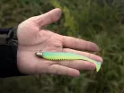 Gallérral ellátott Delphin TRIAD jigfej / 5 db