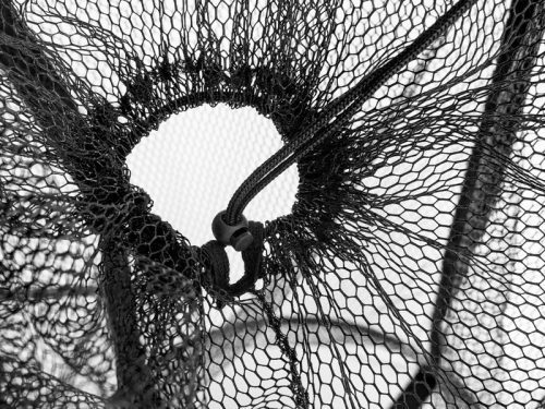 Delphin BaitPOOL Lebegő csalihaltartó háló
