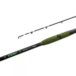 Delphin ENERGY Catfish 310cm/250-500g/2 rész