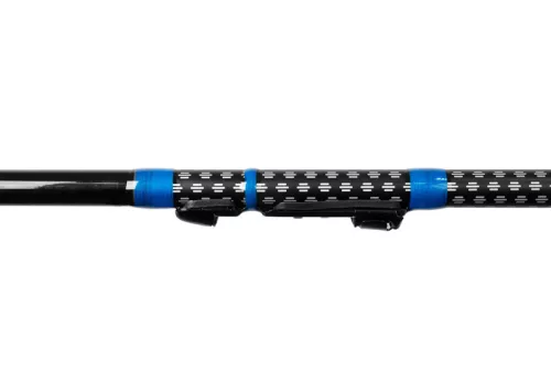 Delphin XENOX | 6m