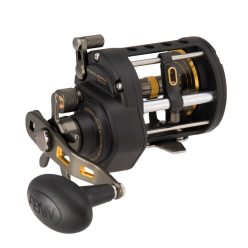 PENN Level Wind 20 Star Drag 5BB RH 5.5:1 Right