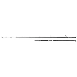 Shakespeare SALT XT UPTIDE 9ft6/2.90m 150-300g 1+1Sec