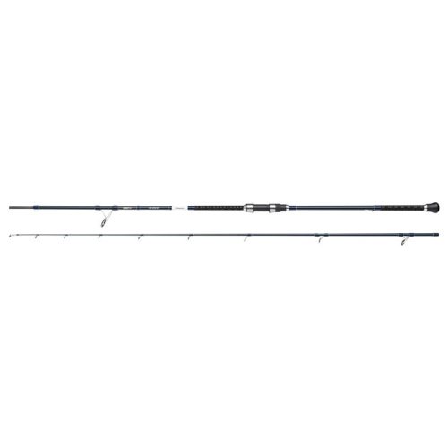 Shakespeare SALT XT SEA SPIN 10FT/3.05m 40-80g 2Sec