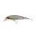 Berkley DEX Fat Bullet 10cm/17.8g Wagasaki