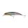 Berkley DEX Bullet Jerk 8cm/7.5g Wagasaki