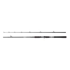 Abu Garcia BEAST Pike 662HP 40-90g Jerkbait Casting