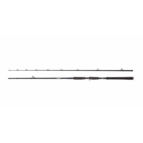 Abu Garcia BEAST Pike 802HP 30-100g Casting