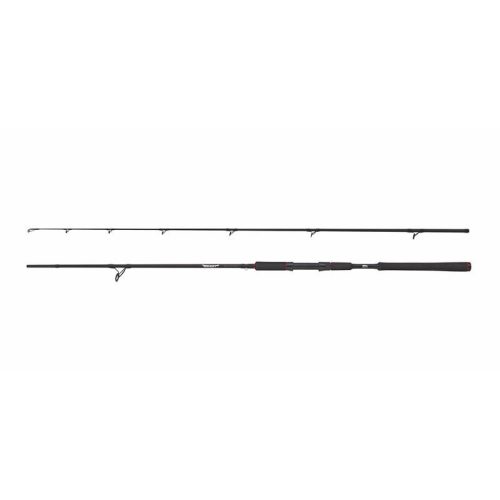 Abu Garcia BEAST Pike 842XH 30-110g Spinning