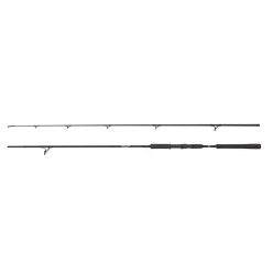 Abu Garcia BEAST Pike 1002XH Deadbait