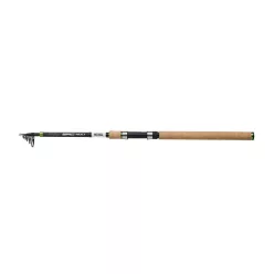 Mitchell EPIC MX1 Trout Tele 3.10m M 5-20g 6Sec