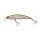 Berkley DEX Bullet Jerk 8cm/11.5g Rainbow Trout