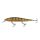 Berkley DEX Stunna 112/14g Ghost Perch