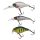 Berkley Pulse Hardbait Pack Trout