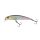 Berkley DEX Bullet Jerk 6.5cm/6g Wagasaki