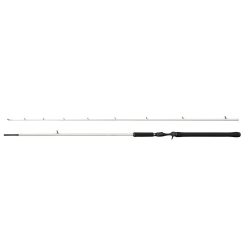 Abu Garcia BEAST X2 802 H Trolling Cast 30-100g