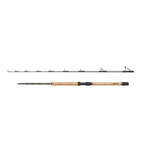 PENN REGIMENT IV Pro Boat 2.10m F 20-30lb 2Sec Conv