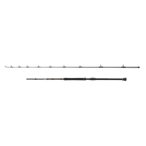 PENN REGIMENT IV Boat Braid 8FT2IN F 12-20lb 2Sec Conv