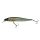 Berkley DEX Stunna 100/10.2g Ayu