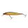 Berkley DEX Stunna 100/10.2g Kinkuro