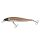 Berkley DEX Stunna 100/10.2g Smelt