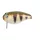 DOIYO Jodan 72 Omote floating WP / 7,2cm / 21g / merülés 0-0,3m