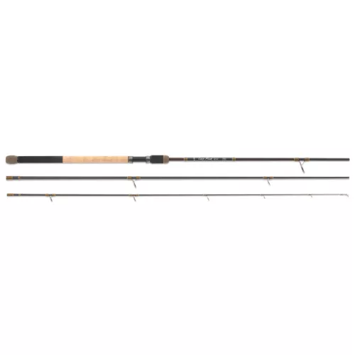 MS-RANGE Carp Float 2.0 / 300cm / 0-80g / 3tag