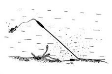 Horváth BÚVÁRÚSZÓ 25CM