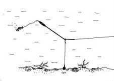 Horváth BÚVÁRÚSZÓ KISTESTŰ 40 CM