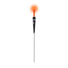 IBITE CARROT 1G