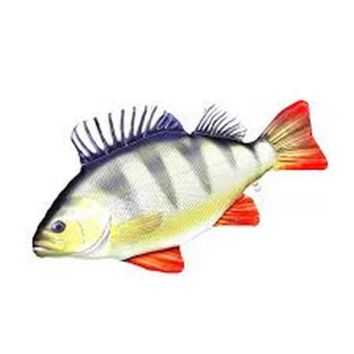 EnergoTeam HALAS PÁRNA SÜGÉR