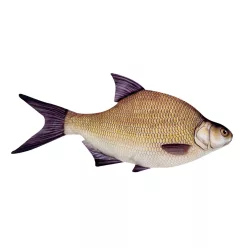 EnergoTeam HALAS PÁRNA KESZEG 70CM