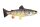 EnergoTeam PILLOW THE MINI BROWN TROUT 36 CM