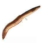 EnergoTeam HALASPÁRNA ANGOLNA 115CM