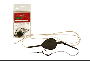CARP EXPERT LEADFREE GO GREEN INLINE BLOW -BACK RIG 80G