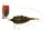 CARP EXPERT METHOD RIG CSALITÜSKÉVEL 40G 10MM