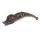 Iron Trout Duckspike Amber Jack