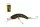 WIZARD CLUMSY CRANK WOBBLER 3G 006 4,2 cm